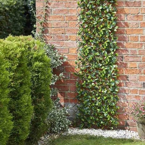 Smart Garden 60cm x 180cm Expanding Lemon Leaf Trellis Wheelie Bin Screen (1/6)
