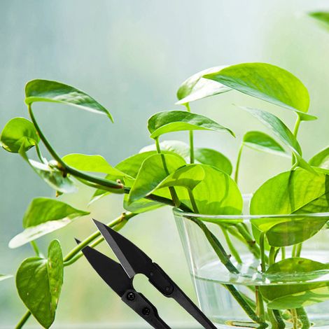 Mini-Bonsaischere, Knospen- und Blattschere, kompakte Gartenschere für Pflanzen (1/5)