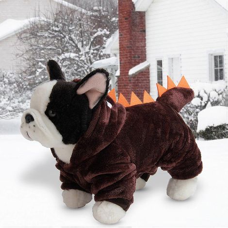 Costume de dinosaure en polaire corail d'hiver pour animaux de compagnie (4 pieds), vêtements chauds pour chiens et chats (1/2)