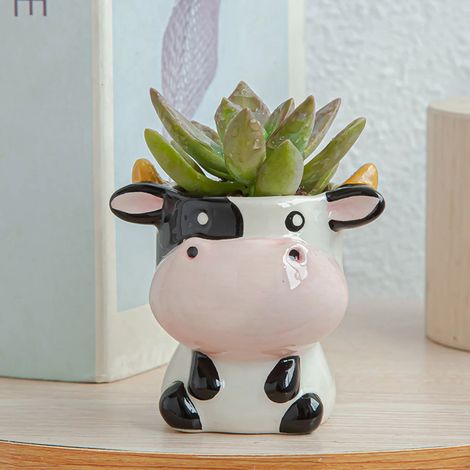 Pot à succulentes en céramique en forme de V, pot de fleurs avec (1/5)