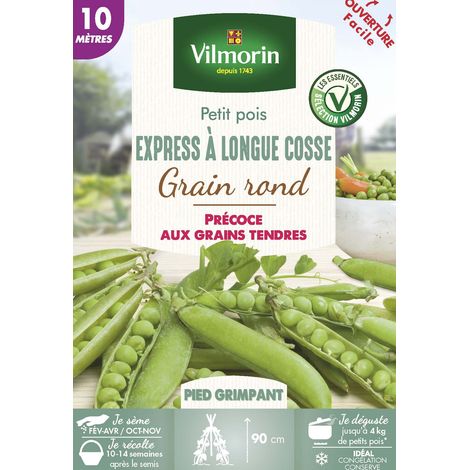 Vilmorin Pois Grimpant à Grain Rond Express à Longue Cosse - 10 m