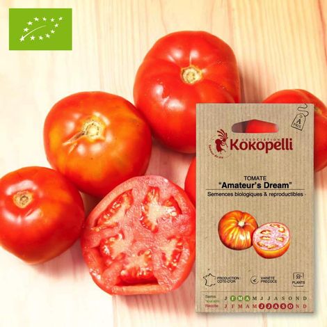 Tomate Amateur's Dream