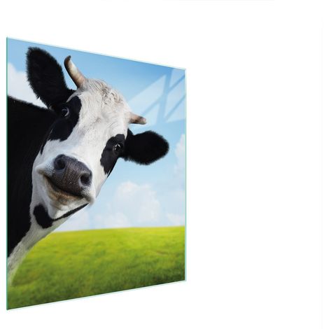 TABLA DE CORTAR DE VIDRIO 45x52 VACA (1/5)