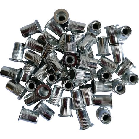 Sachet de 50 inserts filetes acier galvanise de m6 (1/2)