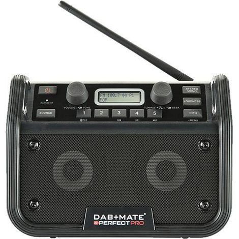Radio de chantier DAB + Mate (1/5)