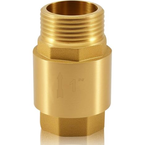 Brass check valve 1" AG/IG, DN25 (1/5)