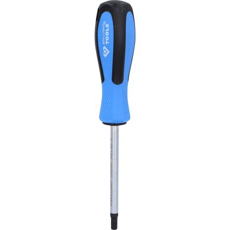 BRILLIANT TOOLS Destornillador TORX T40 x 100 mm - BT031042