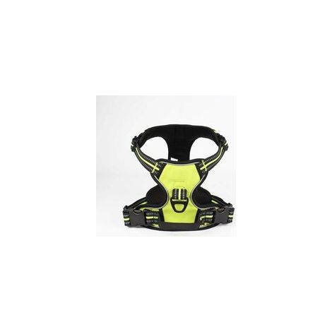 Laisse pour chien vert, taille S – (1/2)