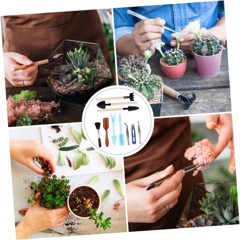 Kit D’Outils de Jardinage 10 Pièces Bleu en Plastique et Fer Plantes en Pot et Fleurs, Nettoyage Facile, Petit Format Pratique, Accessoires pour Plantations (1/5)