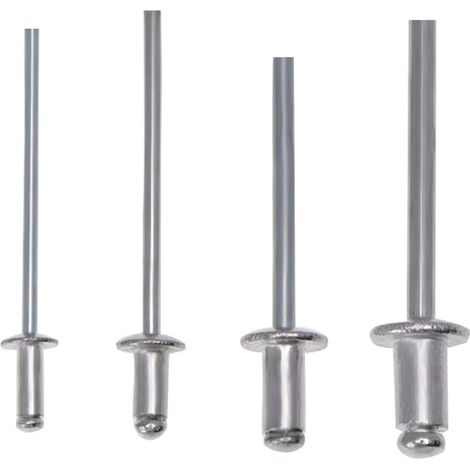200 pièces ensemble de riveteuses robustes main 2.4/3.2/4.0/4.8mm Kit de rivets g-un outil d'assortiment de Rivets en aluminium pour véhicule en cuir métallique p-lastic (1/5)