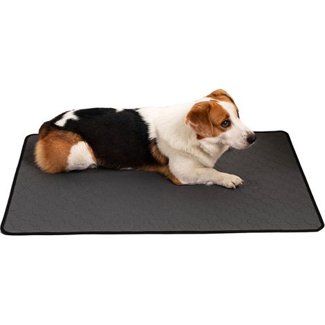 Tapis D'entraînement Pour Chien - 4 Couches Absorbantes Avec Couche Imperméable TPU Et Base Antidérapante - Pour Cage Chien Lit Chien Voiture - 1 Pièce (1/5)