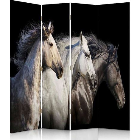 Paravent Décoratif Trois Chevaux en Impression Haute Qualité - 145 x 150 cm - 2 faces R° V° (1/5)