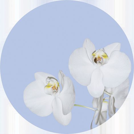 Papier peint intissé auto-adhésif rond Thème Orchidée en Bleu - 140 x 140 cm (1/5)