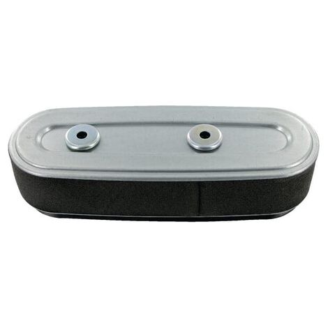 Filtro de aire MTD 3011M60020