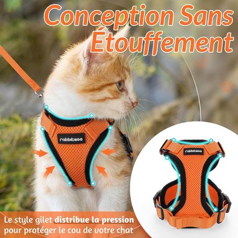 Harnais pour chat Rabbitgoo XS orange, réglable et réfléchissant, gilet respirant avec laisse (1/5)