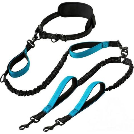 Laisse double mains libres améliorée pour chiens de moyenne et grande taille – Laisse double avec poignées rembourrées, coutures,y (1/5)