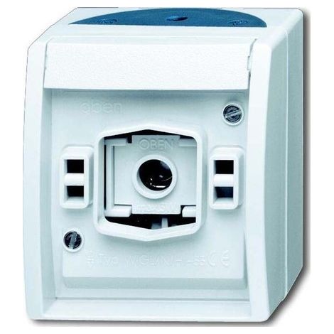 BUSCH-JAEGER 2661W-53 SIGNAL LUMINEUX VERT-BLEU 1582-0-0305