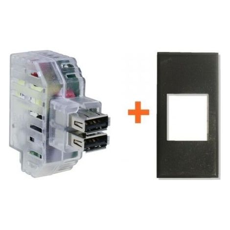 Fanton caricatore doppia presa USB AA 5V 2,4A compatibile Bticino Axolute grigio scuro - 82892-AG