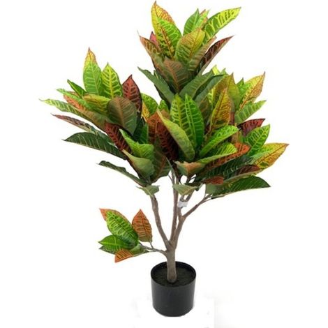 Planta de croton ornamental 110 cm con 97 hojas