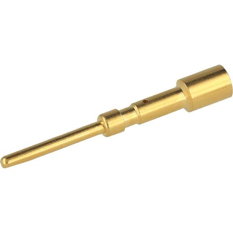 Phoenix Contact M40-Crimpkontakt Kontaktstift (M) 1mm² - 2,5mm² AWG18 - AWG14 gold Werkstoff Messing (CuZn) - 1 Stück