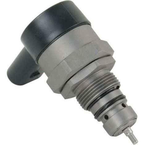 Fuel Pump Pressure Regulator Valve 0281002494 A6110780449 For