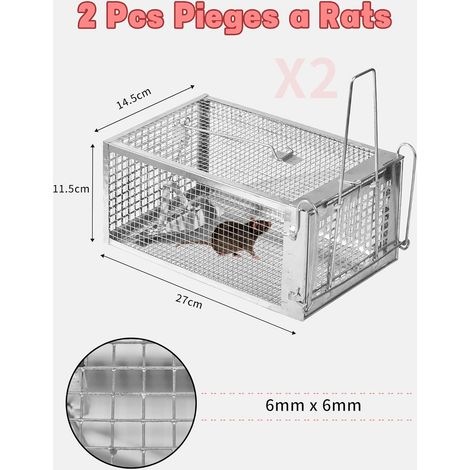 Tuyau pour Piscine Intex - 2 Pièces - 150 cm - PVC Transparent - 32 mm