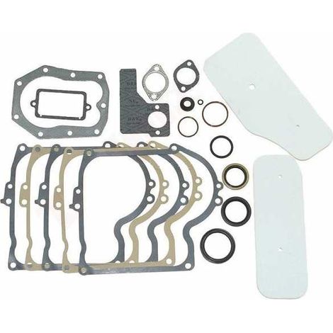 Jeu de joints pour Briggs et Stratton 393411 (1/2)