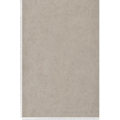 Papier peint Affinity - LTC-AF24504