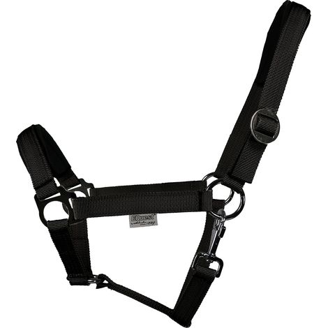 EQuest Halfter Regular Plus aus Polypropylen, schwarz - M / Vollblut / Cob (1/4)