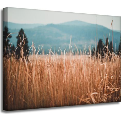 Leinwandgemälde Natur Grashalme 40x30 cm Berge