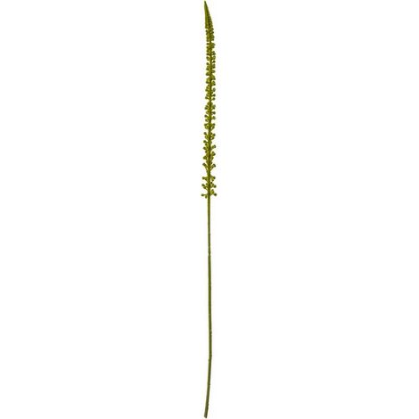 Eremurus (Single Stem Flower) - Plastic - L3 x W3 x H88 cm - Green