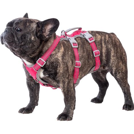 Harnais Anti-évasion pour Chien, Harnais d'artiste d'évasion,Respirant, Durable, Gilet réglable pour Chiens de Taille Moyenne, Marche, entraînement et équipement de Course (Rose Rouge, M) (1/5)