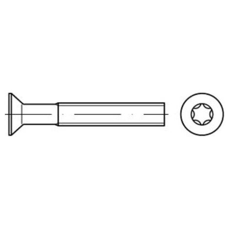 ISO 14581 Senkschrauben mit Innensechsrund A 4 M 8 x 40 -T45 A 4 S 100 Stk