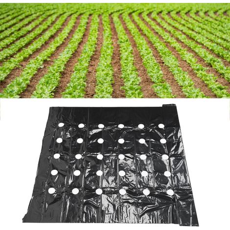 Film de paillage perforé en PE, film de paillage agricole pour l'exportation, film noir, film perforé d'isolation thermique, 0,95 x 10 mètres, contrôle des mauvaises herbes. (1/5)