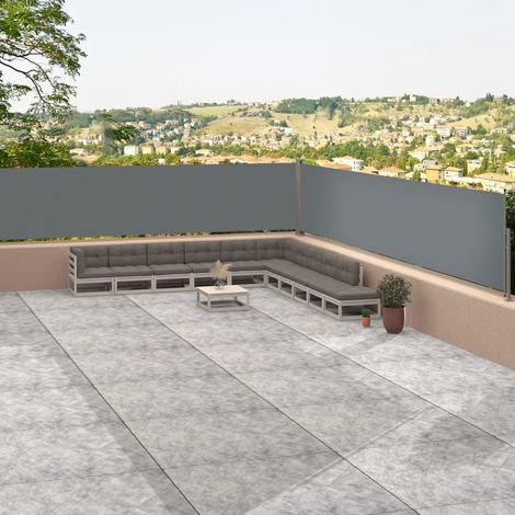 FIMEI Auvent latéral rétractable Anthracite 117x1200 cm (1/5)