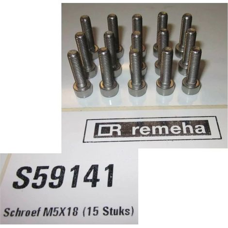 Remeha S59141 Vite M5x18 (x15pz)