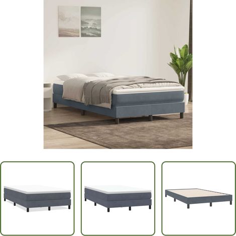 Samtbett - Boxspringbett ohne Matratze Dunkelgrau 120x220 cm Samt (1/5)