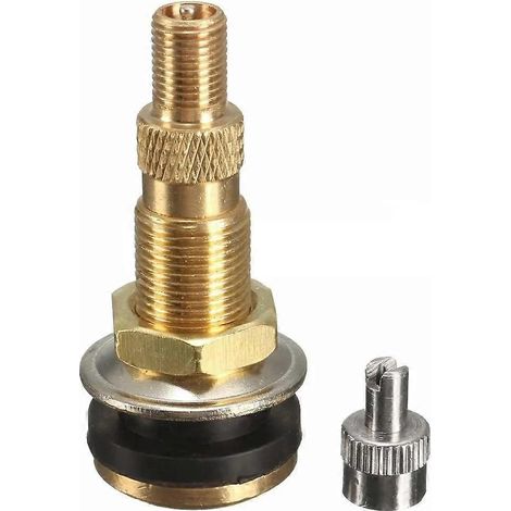 10 valves de pneus de tracteur TR618A (1/5)