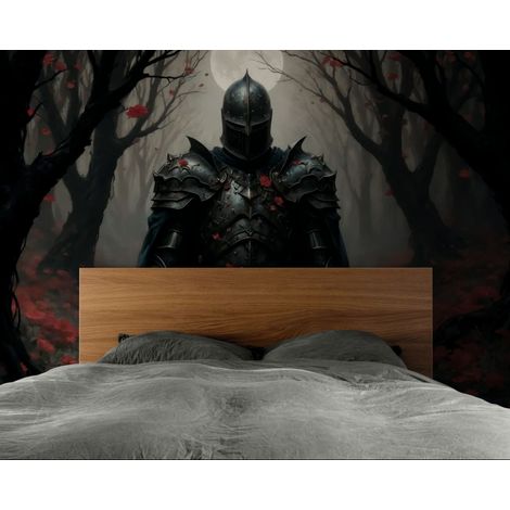 Papier peint Fantasy – chevalier mystique - 150 x 250 cm (1/2)