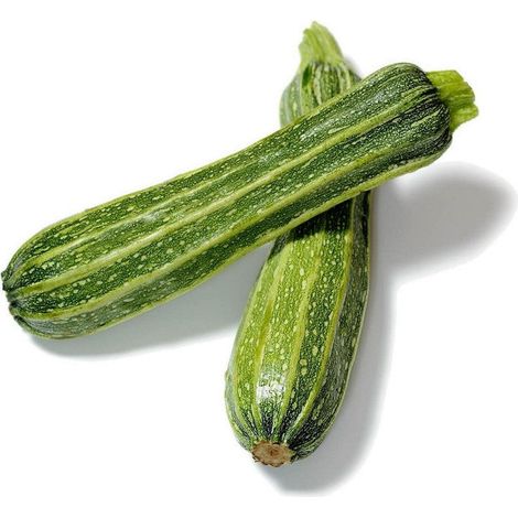 Semi di zucchino "Striato pugliese" piante per orto e giardino coltivazione domestica e professionale