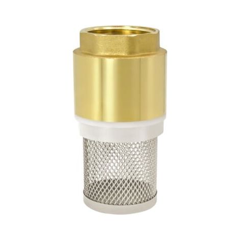 QORVA-Clapet anti-retour en laiton de 1 pouce avec maille, pour pompes à eau et systèmes de filtration.