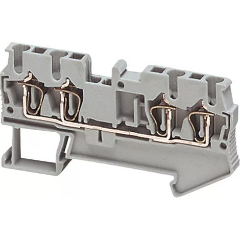 Schneider NSYTRR24 Federklemme 4 PUNKTE 2,5mm (1/2)