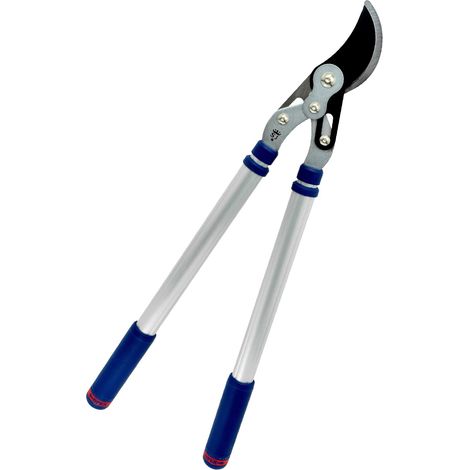Sécateur à lames courbes télescopique à double composé (1/5)