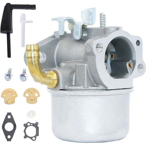 Compatibile con carburatore Briggs & Stratton 798653, 697354, 790290, 791077, 698860. Con accessori. (1/4)
