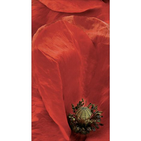 Sticker réfrigérateur et lave vaisselle, coquelicot passion beauté naturelle jardin enchanté déco, 180 cm X 100 cm (1/4)