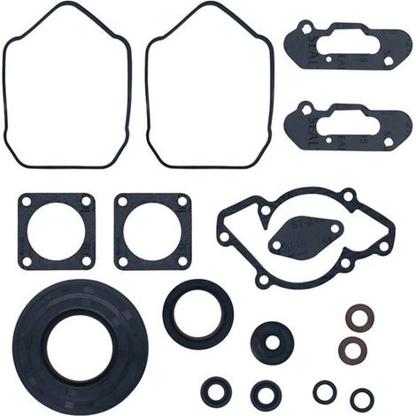Komplettes Dichtungssatz BRP600 E-TEC 711303 für Ski-Doo Mountainbikes (1/5)