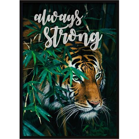 Bild, Poster im Rahmen 73x53 cm Tiger P527 (1/4)