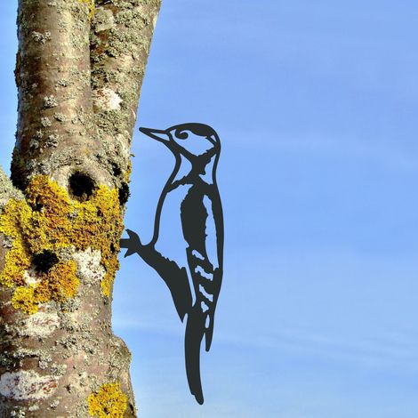 Piquet décoratif en acier en forme de pic épeiche,Idéal pour les ornithologues amateurs et passionnés d'oiseaux, décoration de jardin (1/5)