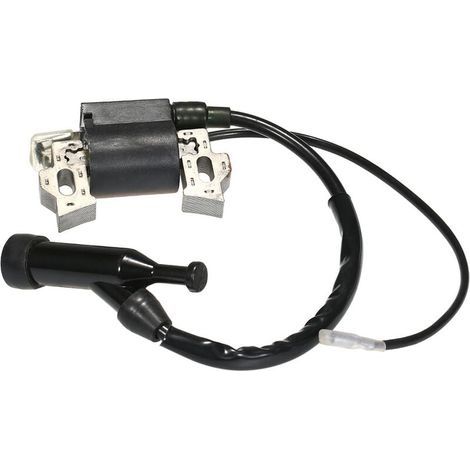 Zündspulenmodul für Honda GX110 GX120 GX140 GX160 GX200 (1/4)
