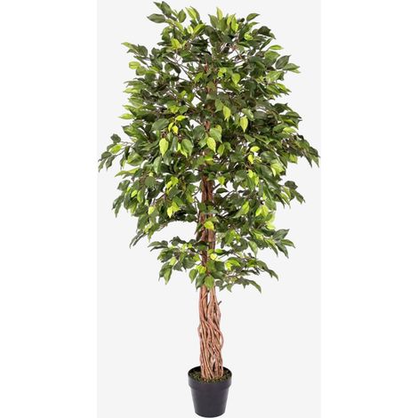 HOMESCAPES Green Artificial Ficus Tree with Twisted Real Wood Trunk, 6 Ft